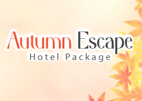 HOTEL PACKAGE